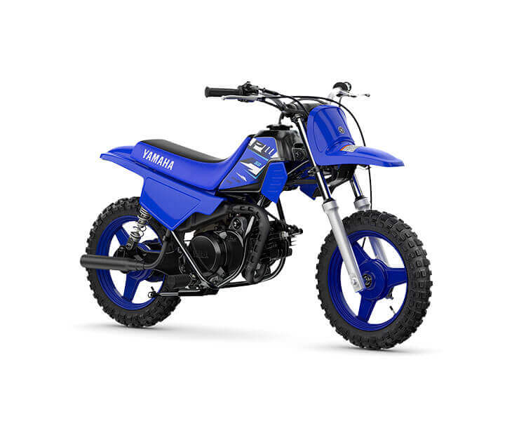 2026 PW50