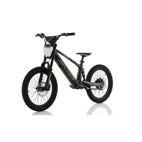 AZONIC FLOW 20 - 36V 7.2AH / 750W E-BALANCE BIKE - BLACK - Image 2