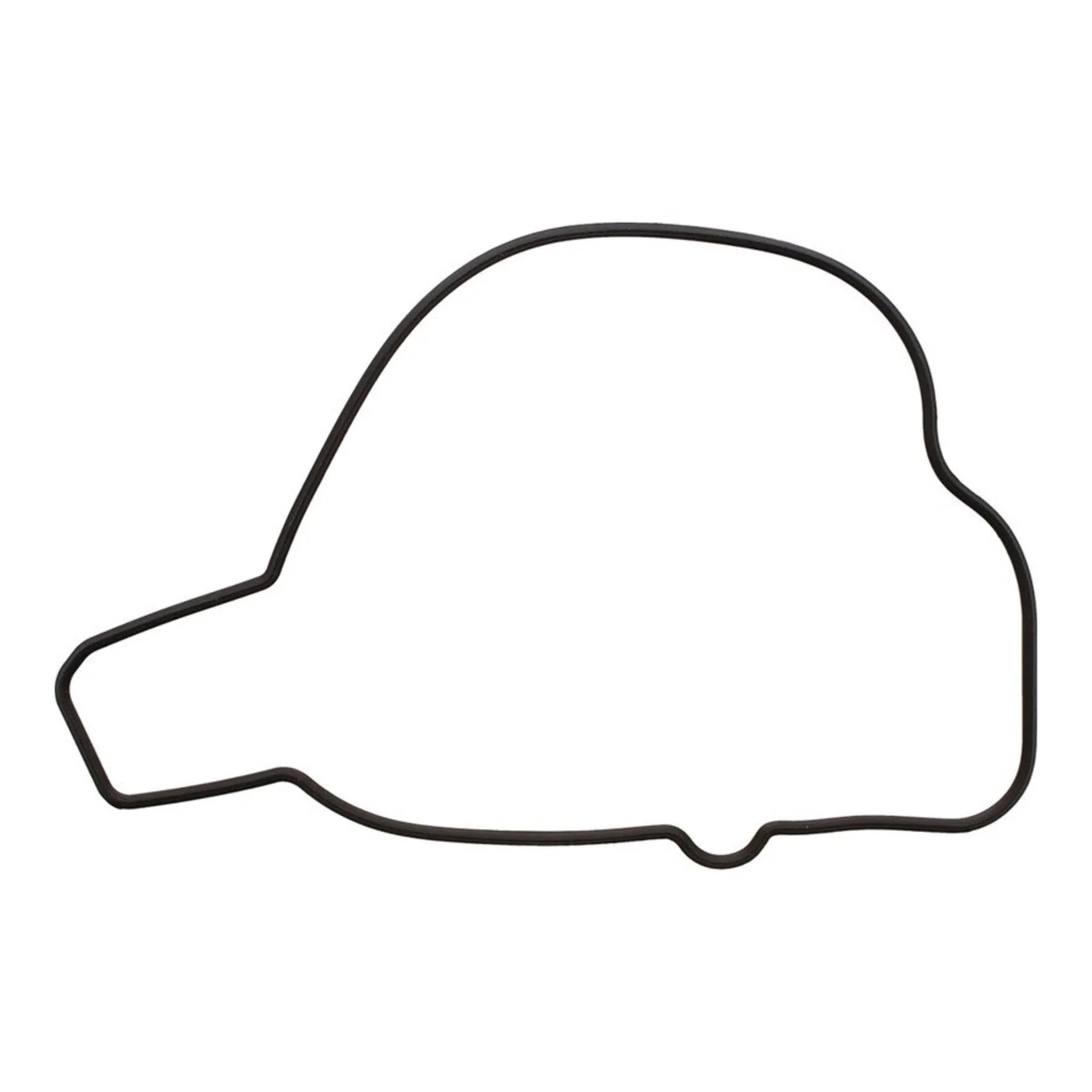 Ignition Cover Gasket Kit 819210