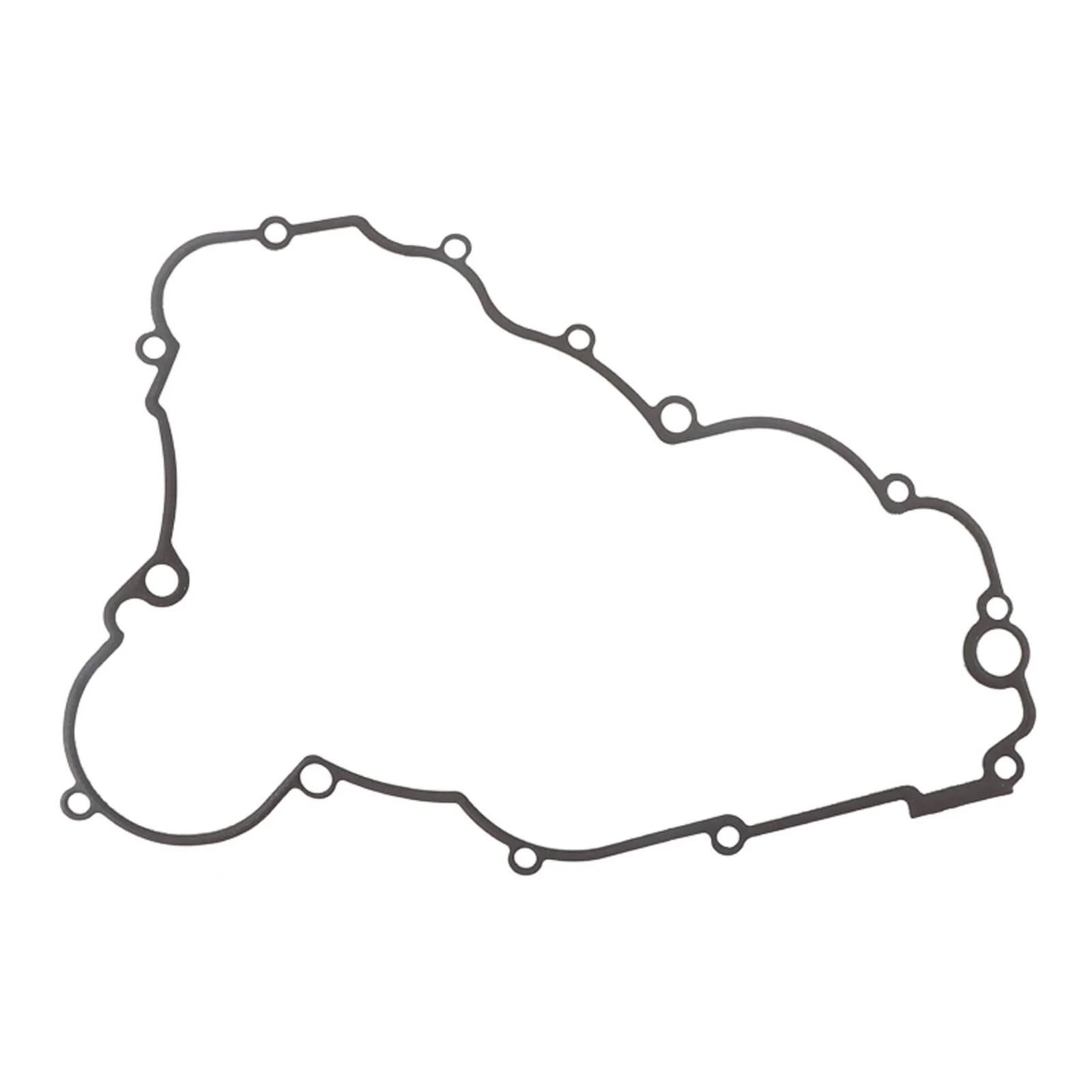 Inner Clutch / Side Cover Gasket Kit 816315 - Image 2