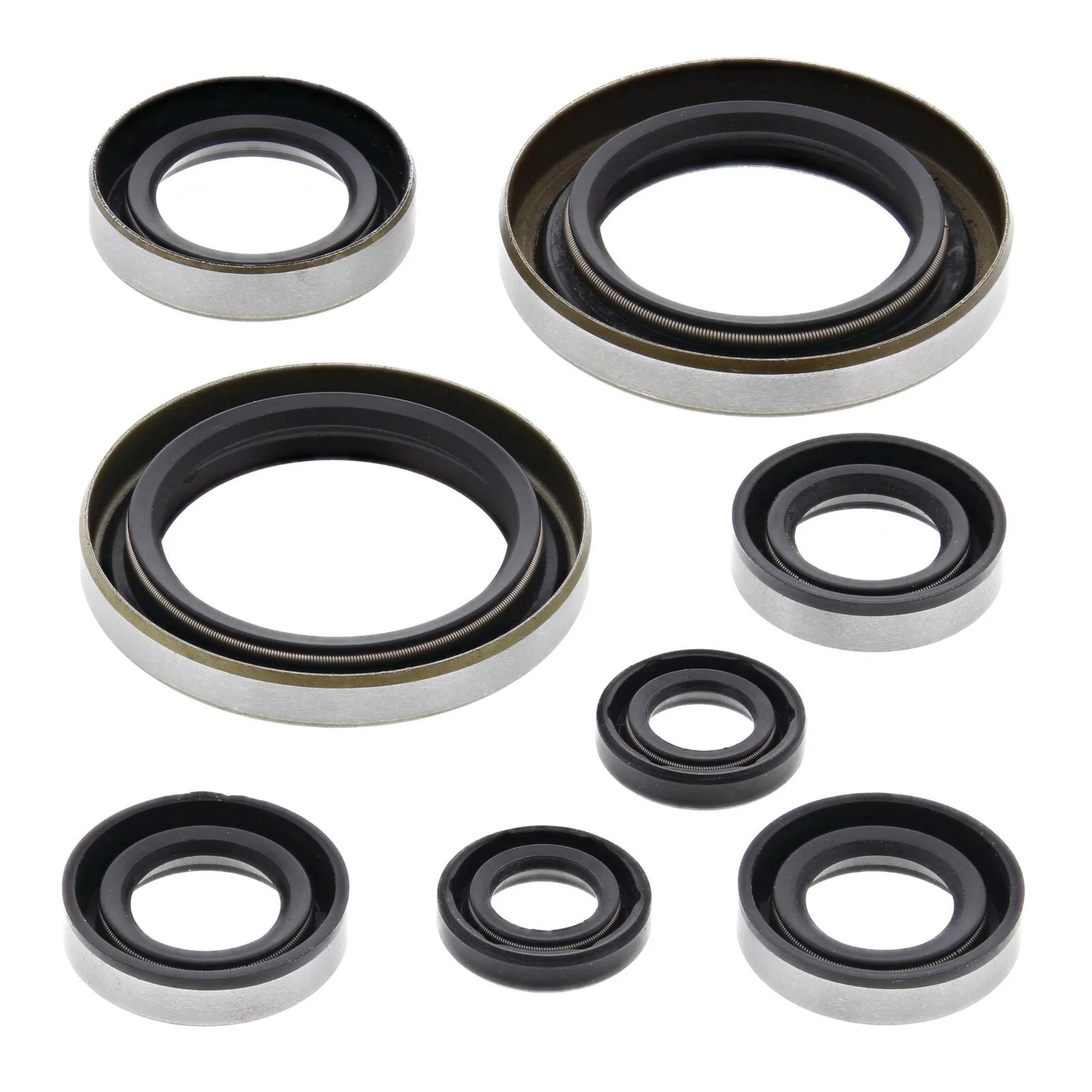 Oil Seal Kit 822274