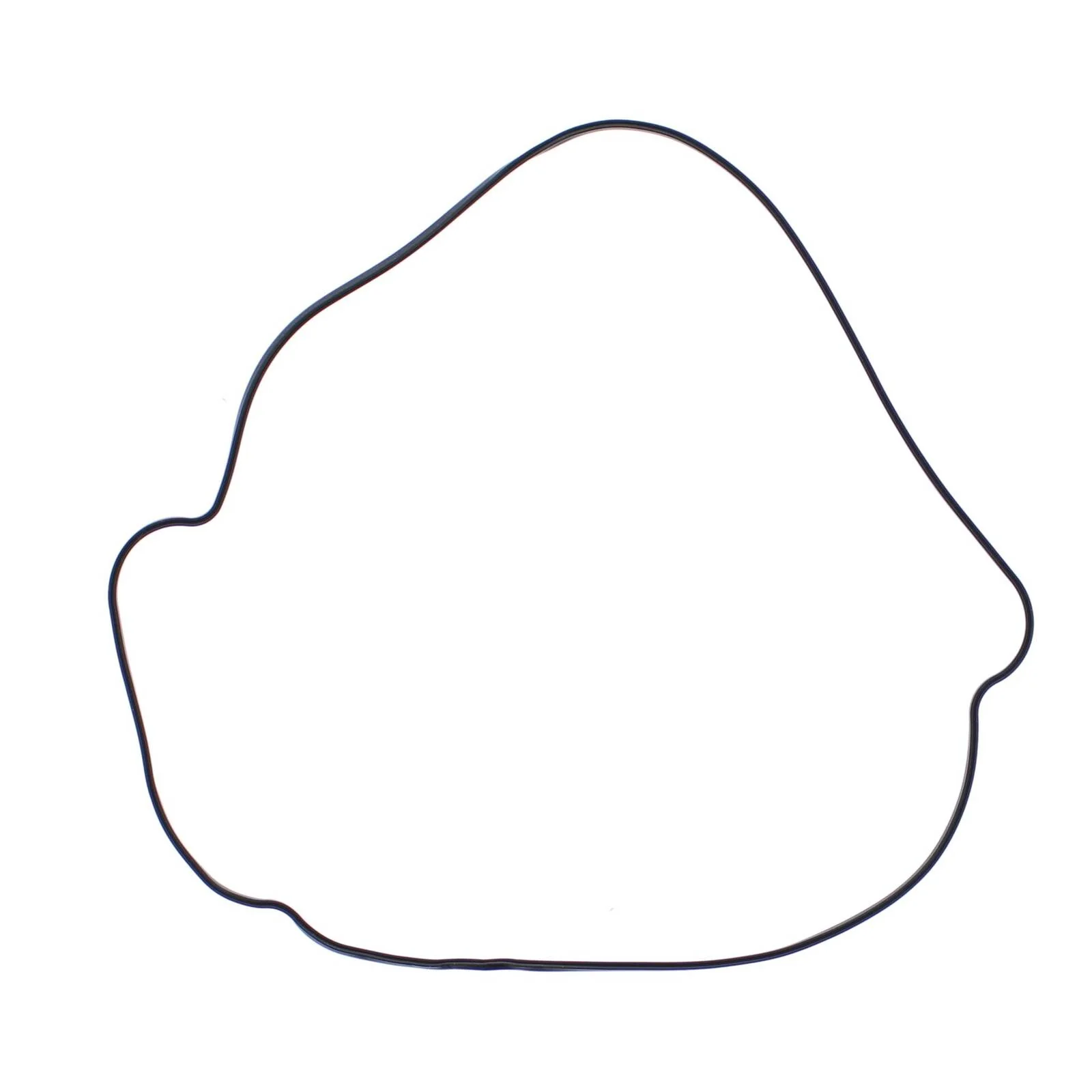 Outer Clutch Gasket Kit 817987 - Image 2
