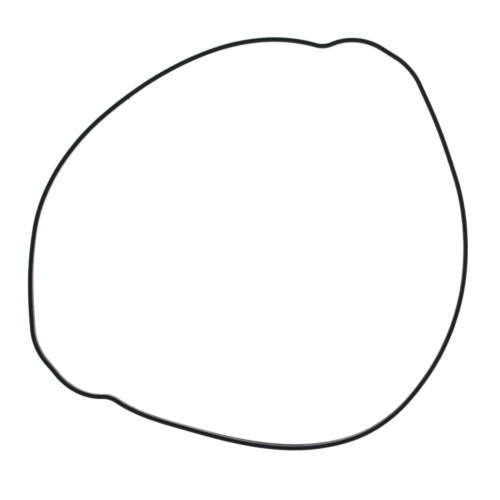 Outer Clutch Gasket Kit 819047 - Image 2