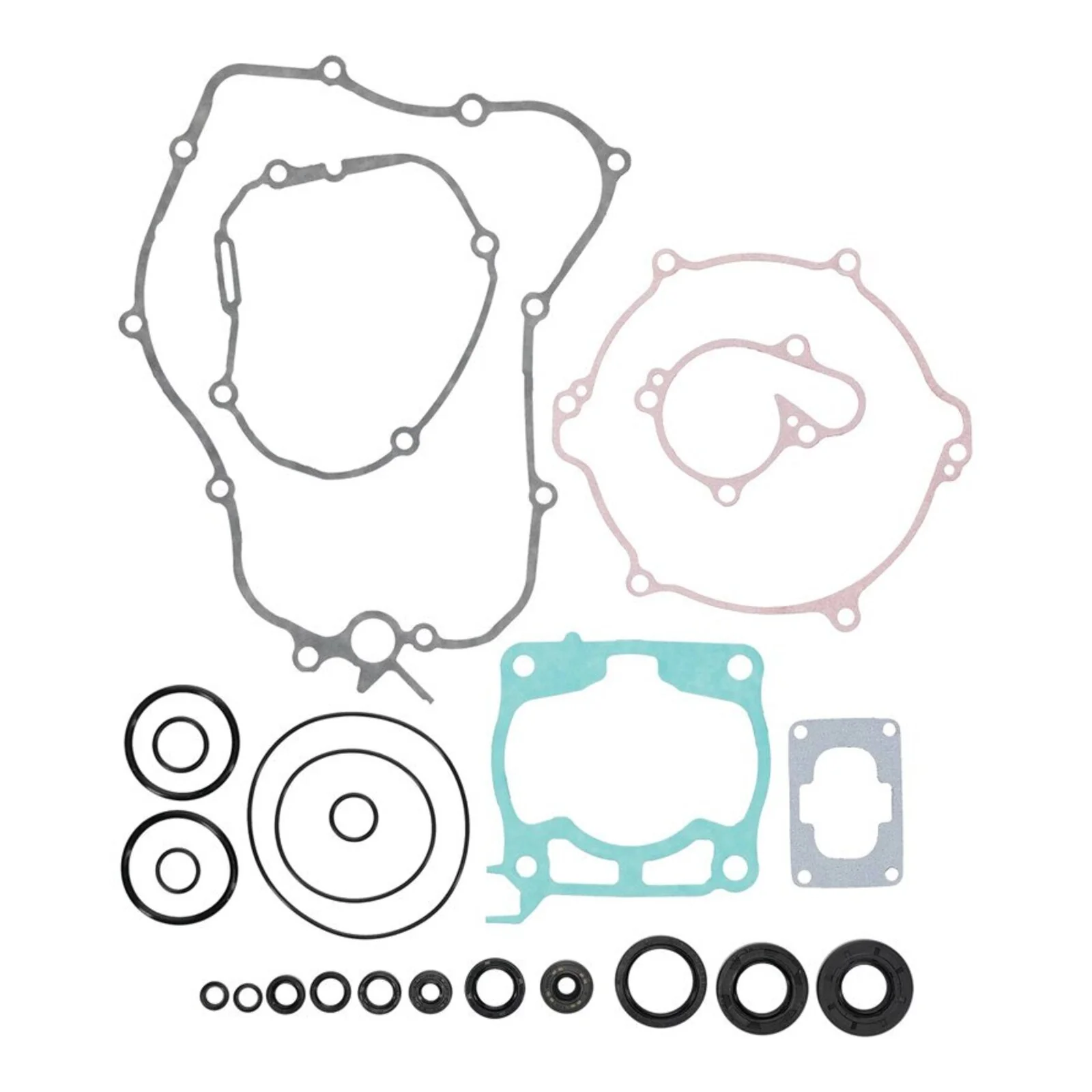 Complete Gasket Set with Oil Seals 8110054